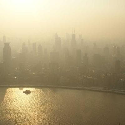 Sânziene Artistice